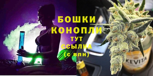 apvp Новозыбков