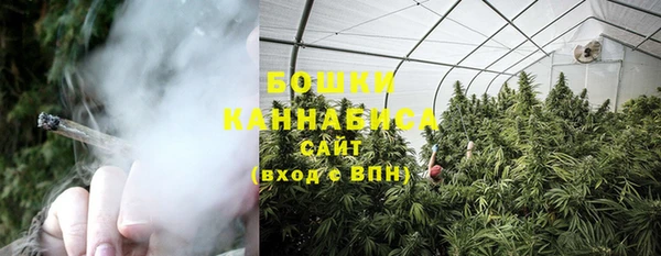 apvp Новозыбков